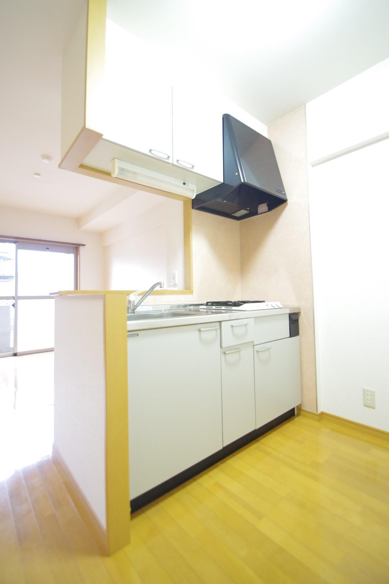 菊池郡菊陽町光の森２丁目の賃貸マンションのキッチン