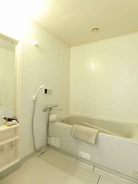 メゾンドール荒木【10,000円キャッシュバック対象物件】の浴室|お風呂で日々の疲れを落としましょう