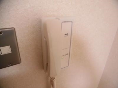 二条CUBE（二条キューブ）のセキュリティ|インターホン