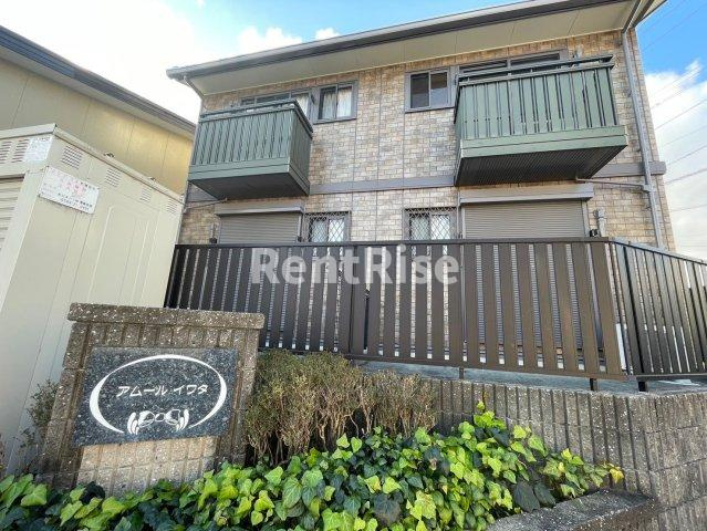 アムールイワタ