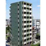 リーフグリーンの画像