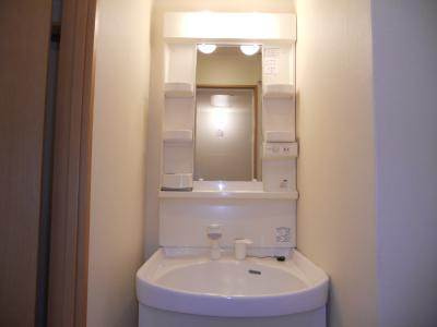 ビレイユ真英富小路高辻の洗面所|シャンプードレッサー