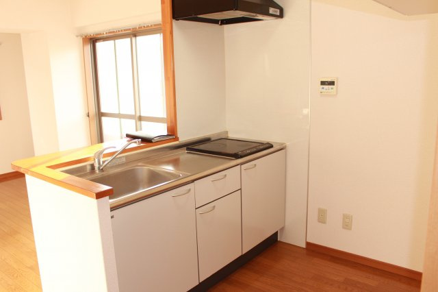 サンライズプラムⅧのキッチン