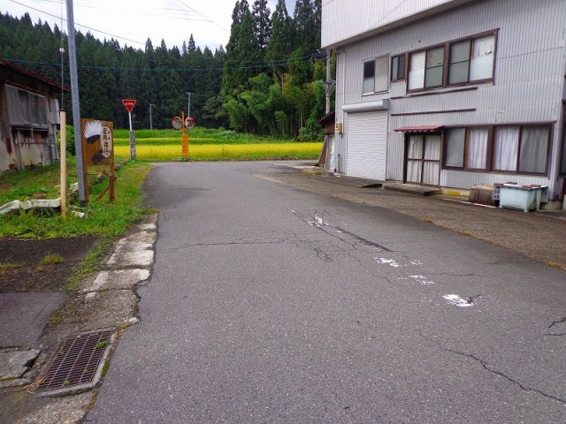 【前面道路含む現地写真】 | 阿賀町売地 | 西側5ｍ幅の町道に面しています。
