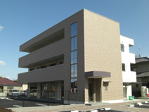 グレイスフルTの画像