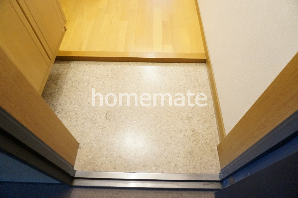 熊本市中央区大江６丁目の賃貸マンションの玄関