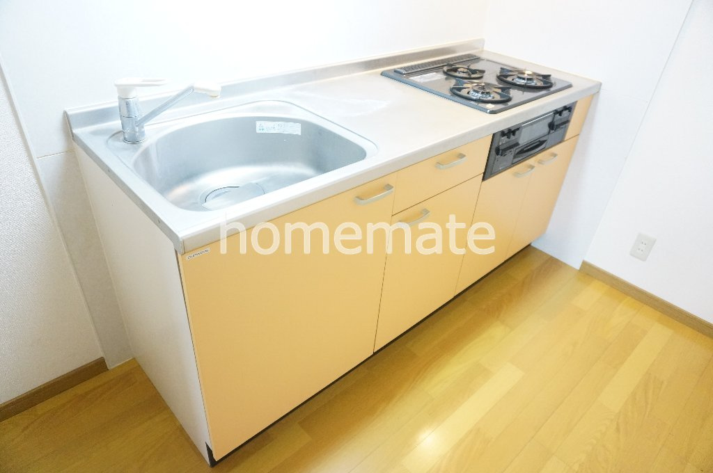 熊本市中央区大江６丁目の賃貸マンションのキッチン