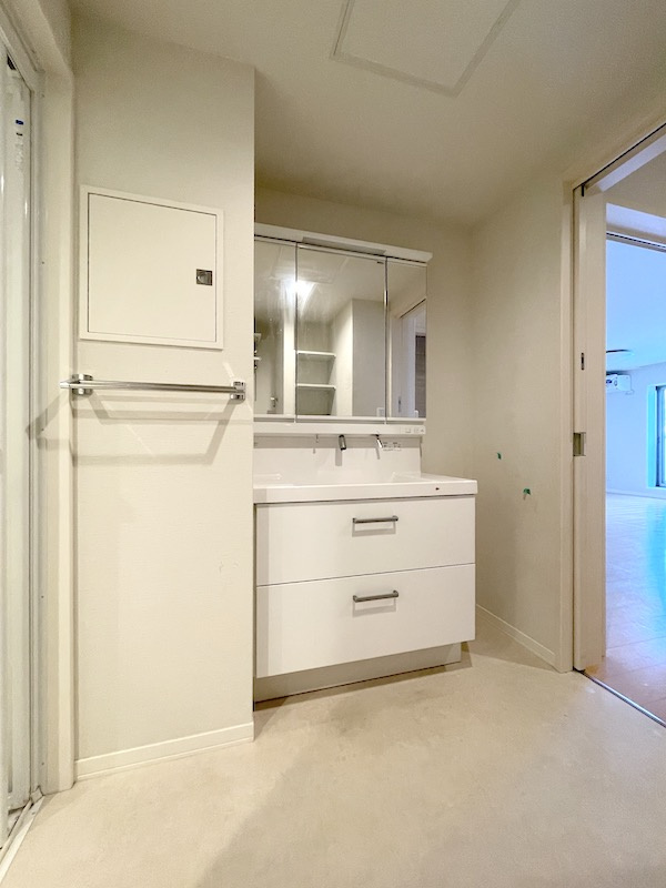 メゾンマスト名須川Bの洗面所