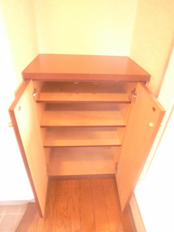 ダイナコート久留米駅前【キャッシュバック対象物件】の玄関|収納もある玄関です