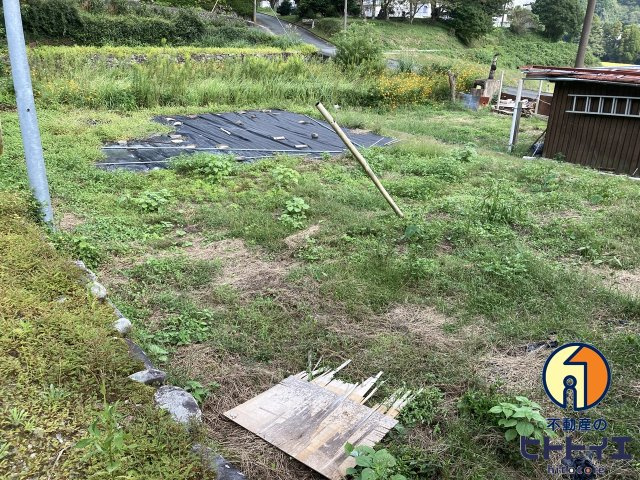 星野村土地　畑の周辺