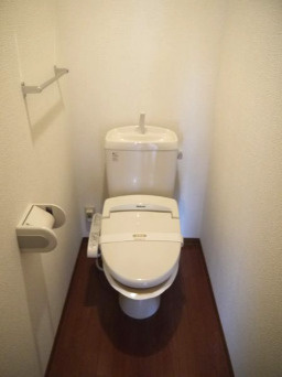 ヴェルドミール Bのトイレ