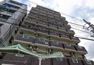 ルネッサンスエリエールの画像