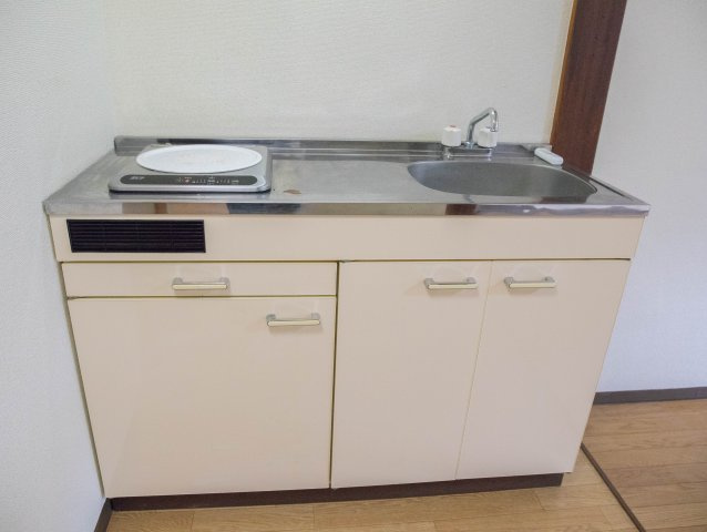 レディースマンションプリンセスのキッチン|イメージ画像になります