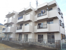 真ハイムの画像