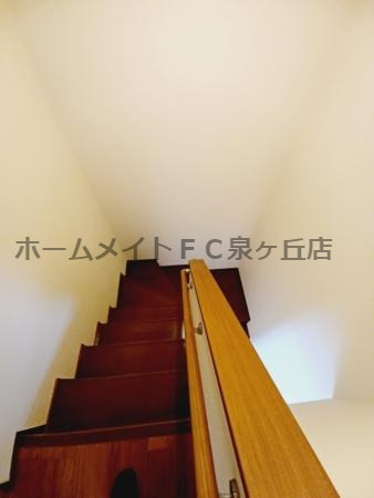 カーサ・カルテットのその他
