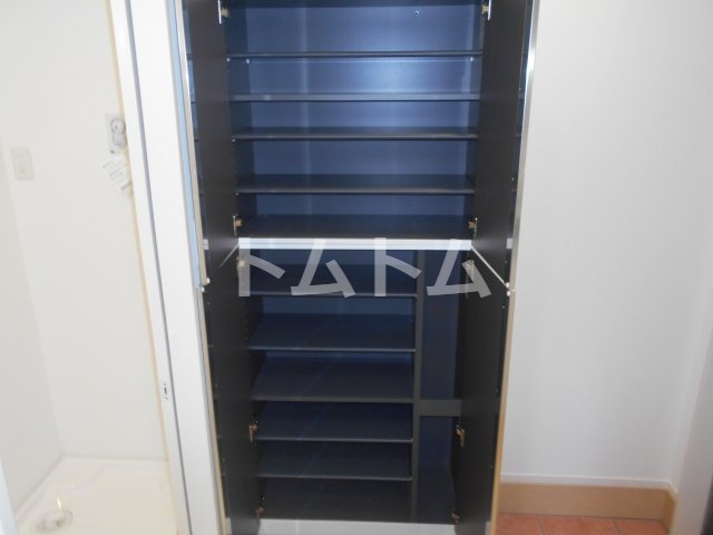 エスカイヤーⅤの収納