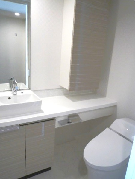 アルファサイト御茶ノ水のトイレ|※写真は同タイプの別室になります