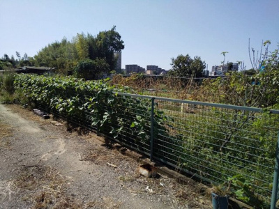 【外観】 | 宇治市宇治下居　売土地