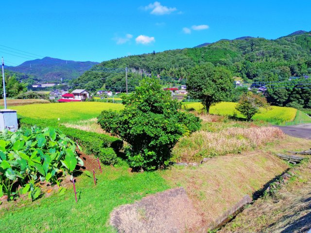【外観】 | 伊豆市冷川 売土地 ET03190 | 伊豆市冷川　外観