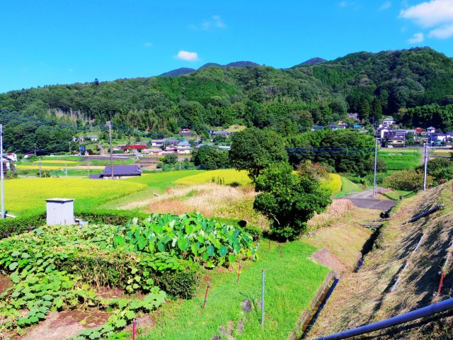 【外観】 | 伊豆市冷川 売土地 ET03190 | 伊豆市冷川　外観