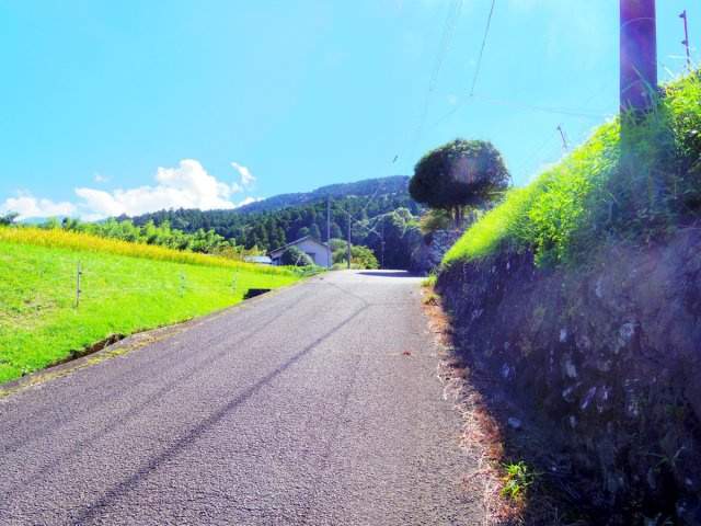 【前面道路含む現地写真】 | 伊豆市冷川 売土地 ET03190 | 伊豆市冷川　前面道路