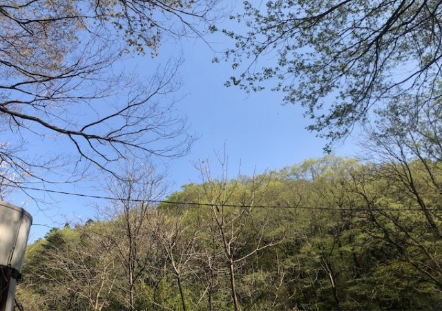 【展望】