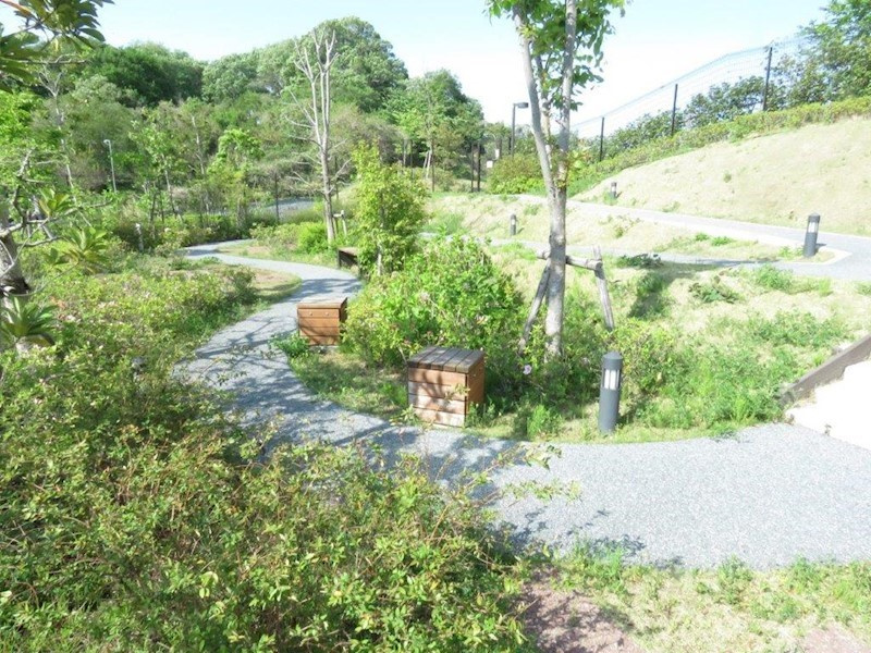 の-の画像