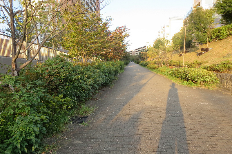 の-の画像