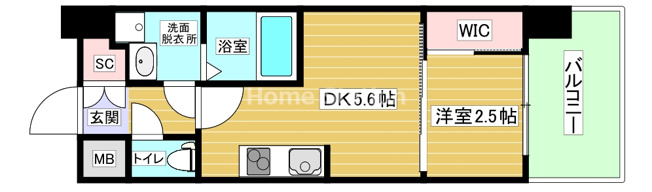 【間取り】 | セレニテ福島プリエ