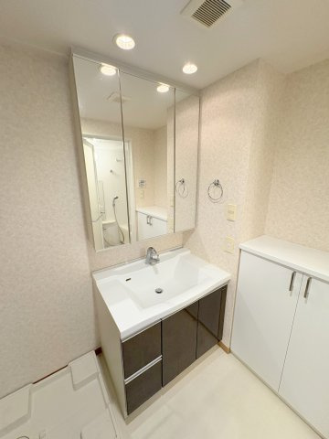 ダイナシティ赤羽の洗面所