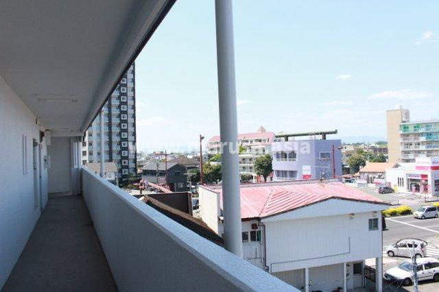 シーラカンスの展望