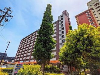 【外観】 | シティコーポ滝子通　★仲介手数料無料★　村雲小学校　円上中学校 | リノベーション済み。
保証付きマンションです。