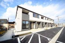 Evergreen（エバーグリーン）の画像