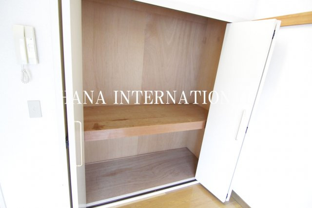 オリーブの収納