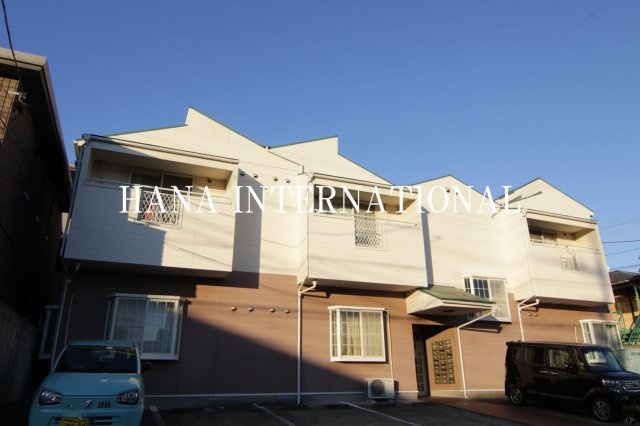 オリーブの外観