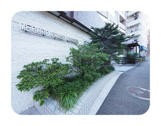 【エントランス】 | 落ち着いたエントランスです