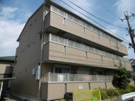 ルミエールの画像