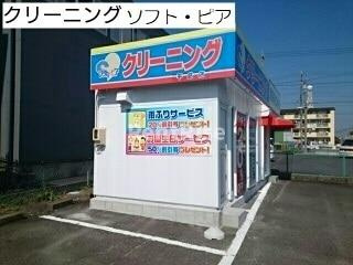 アンソリュームの周辺|その他