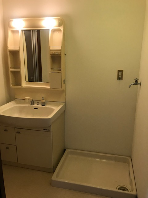 グランドハイツ野崎の洗面所