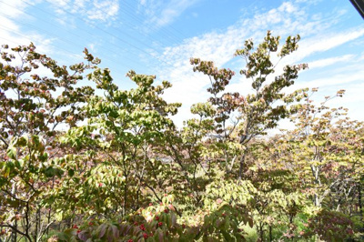 【展望】 | 立川市若葉町2丁目 中古戸建 | 武蔵野の緑を存分に楽しめるのは、低層住宅地域ならではの眺望。夜は星空を見ながらご家族で語り合いを…