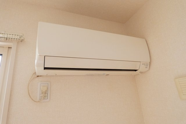 【その他】 | dear court