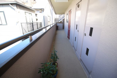 【その他】 | ステラ50