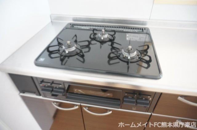 熊本市南区田井島２丁目の賃貸マンションのキッチン