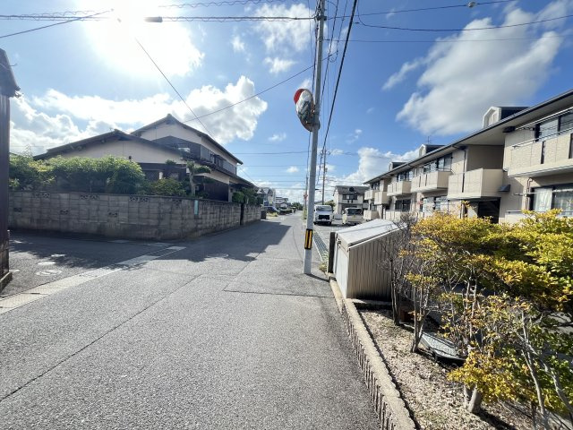 たんぽぽの周辺