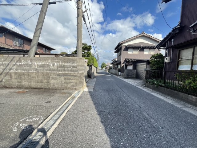 たんぽぽの周辺