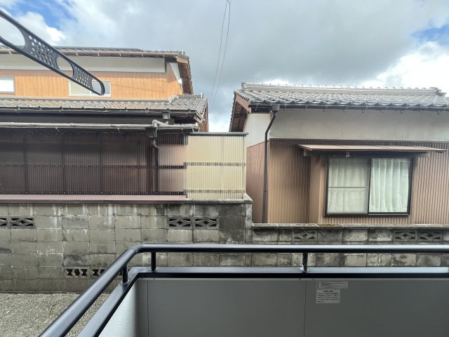 たんぽぽの展望