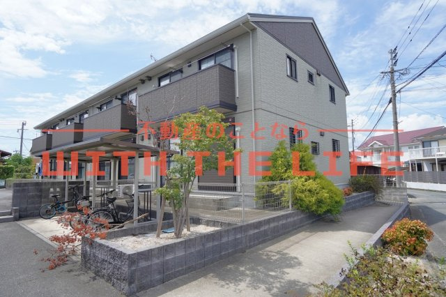 コンパルティア【キャッシュバック対象】