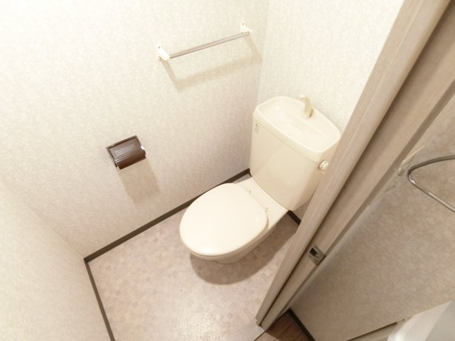 セレブ北のぞみ野のトイレ