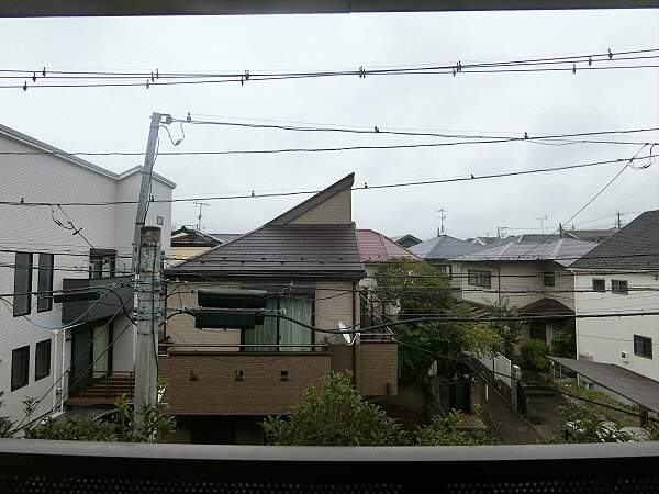 【展望】