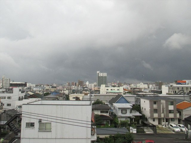 シャルムスワンの展望|シャルムスワン